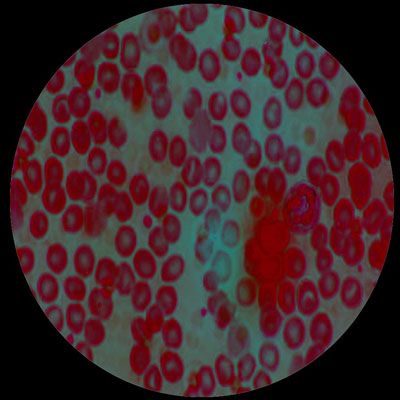 i miss you but I haven't met you